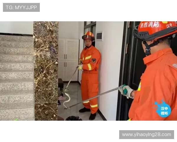 壹号下载：保障下载安全的注意事项与防范措施