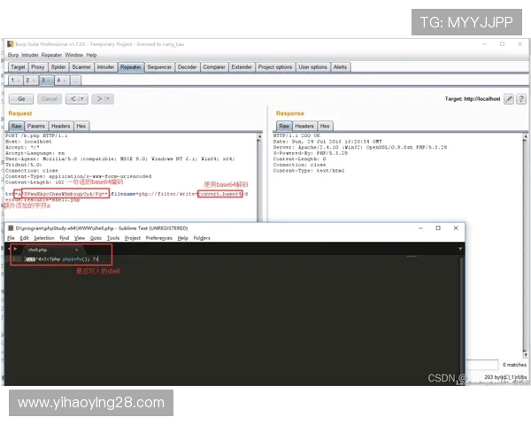 壹号娱乐官网入口：2024年最全最新登录入口及使用攻略