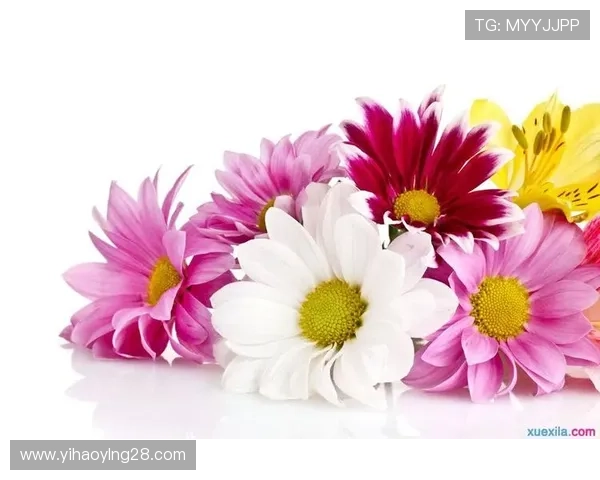 壹号娱乐旗舰厅官方地址官方入口导航，提供详细步骤让玩家轻松进入游戏世界